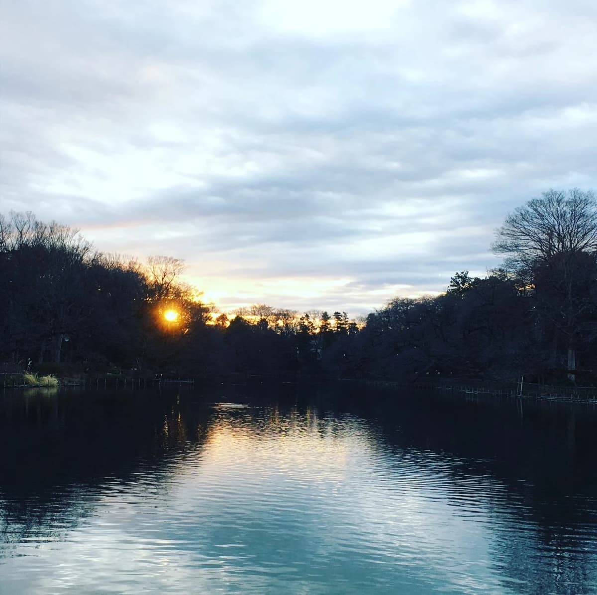 きりとうピアノ教室 リトミック 井の頭教室 画像 13