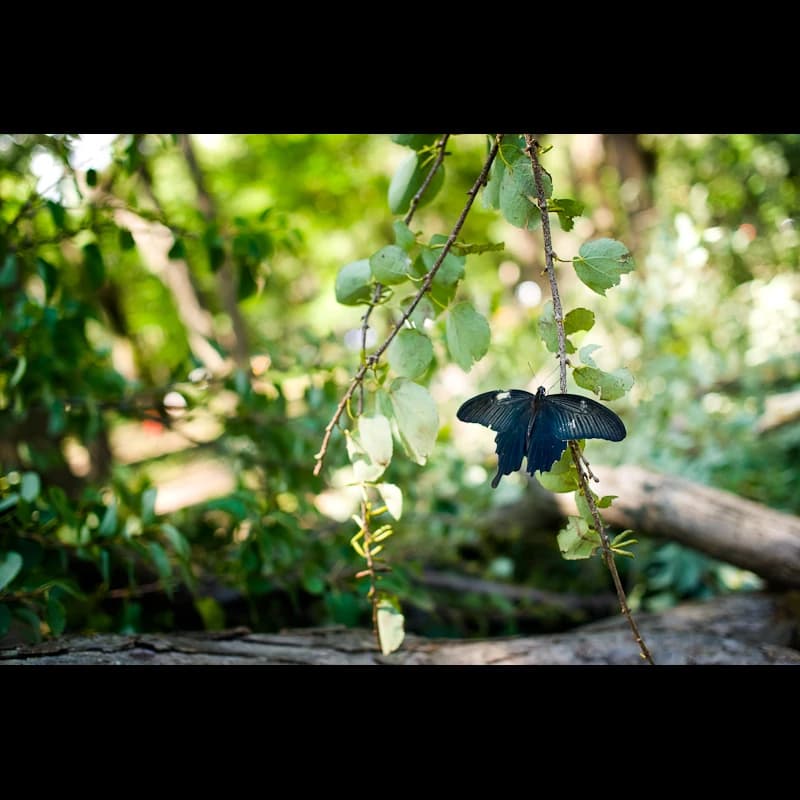 きりとうピアノ教室 リトミック 井の頭教室 画像 20