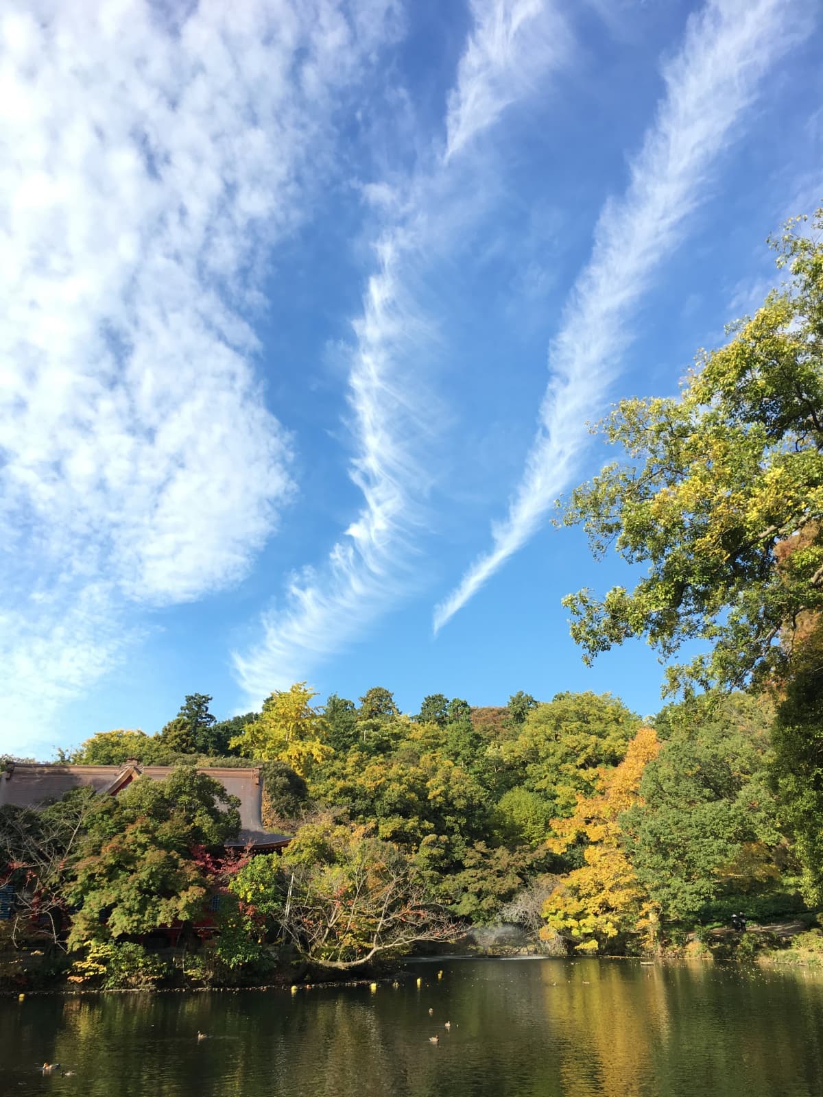 きりとうピアノ教室 リトミック 井の頭教室 画像 1