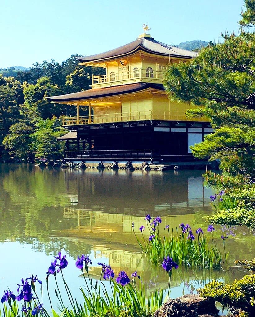 きりとうピアノ教室 リトミック 井の頭教室 画像 25