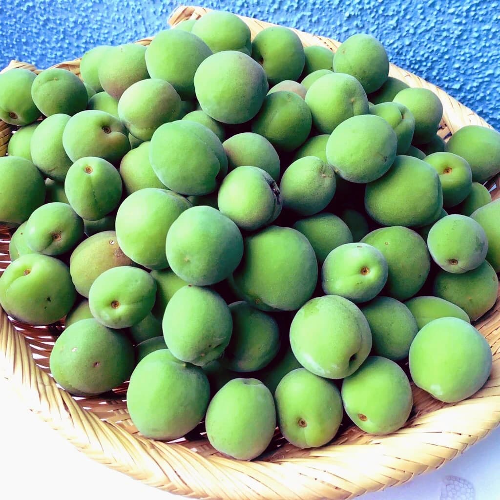 きりとうピアノ教室 リトミック 井の頭教室 画像 35