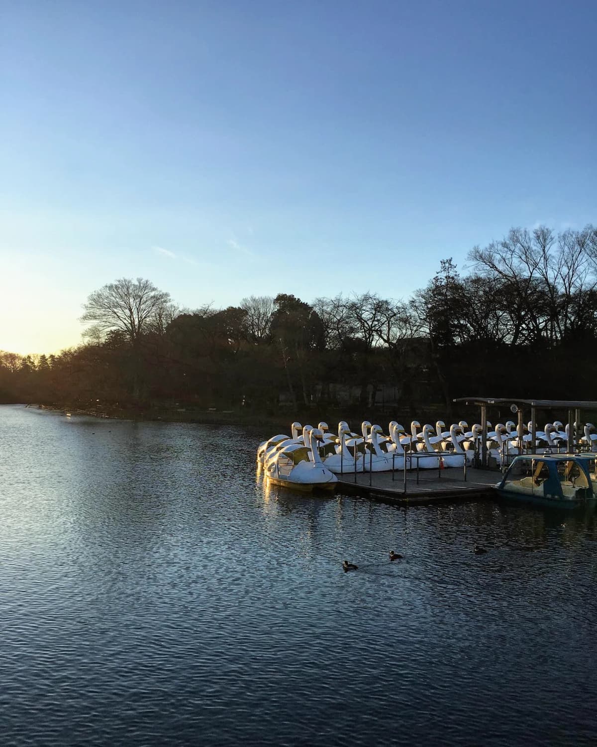 きりとうピアノ教室 リトミック 井の頭教室 画像 56