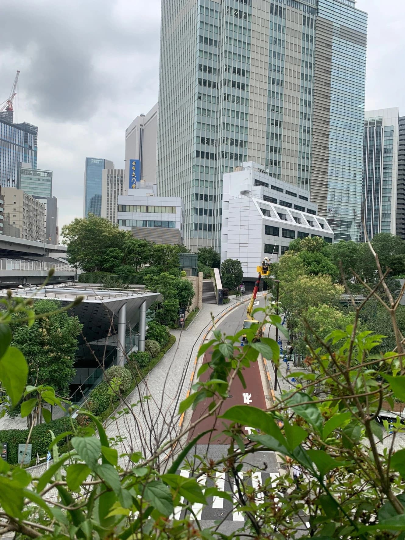 セシリア音楽教室 リトミック 六本木教室のメイン画像