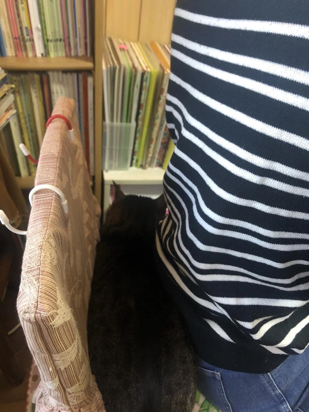 MYMUSICピアノ教室 リトミック 白鷺教室のサムネイル画像 5