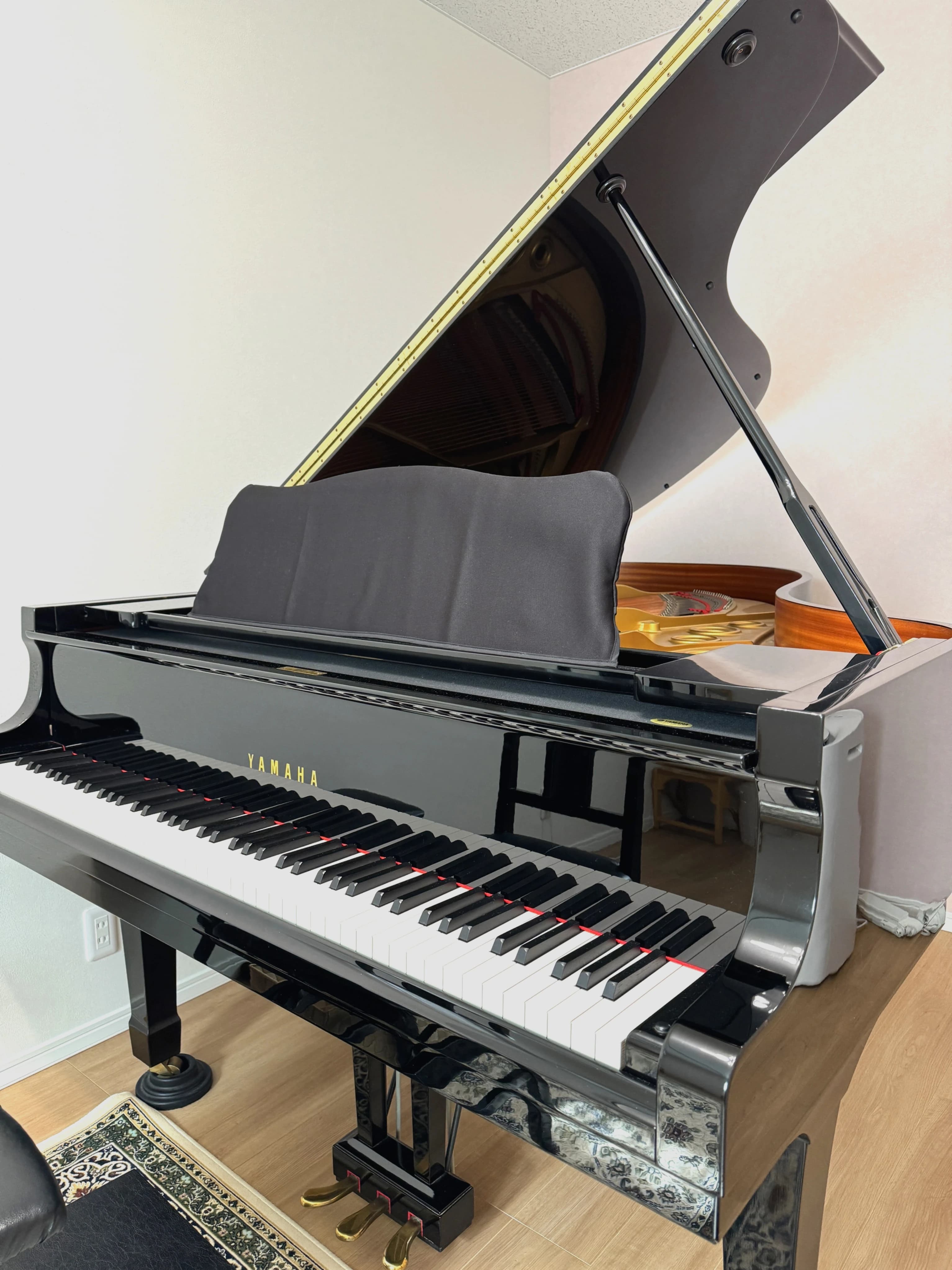 poco a poco(ポコアポコ) リトミック 富士見台教室のサムネイル画像 2