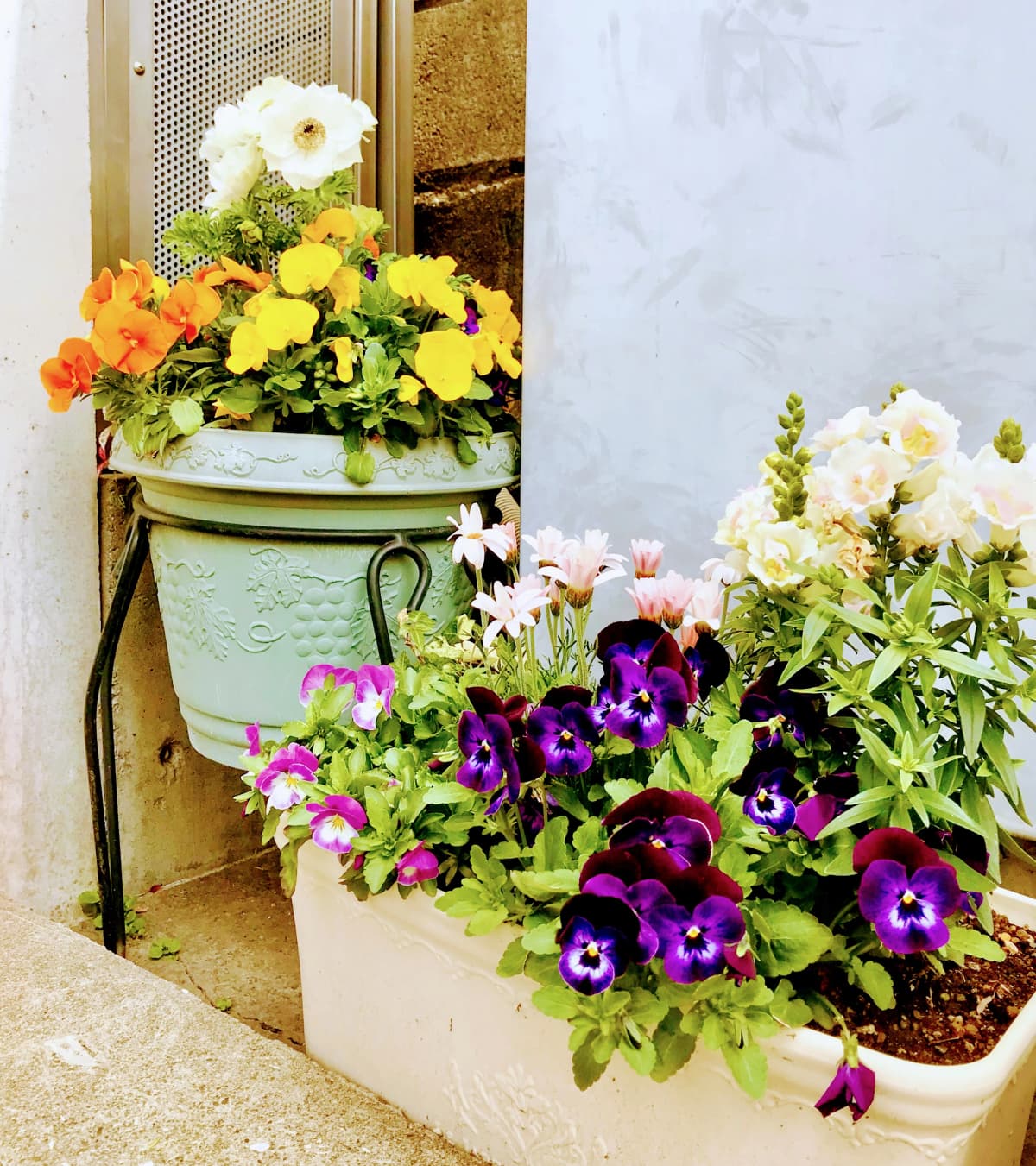 サムネイル画像 6