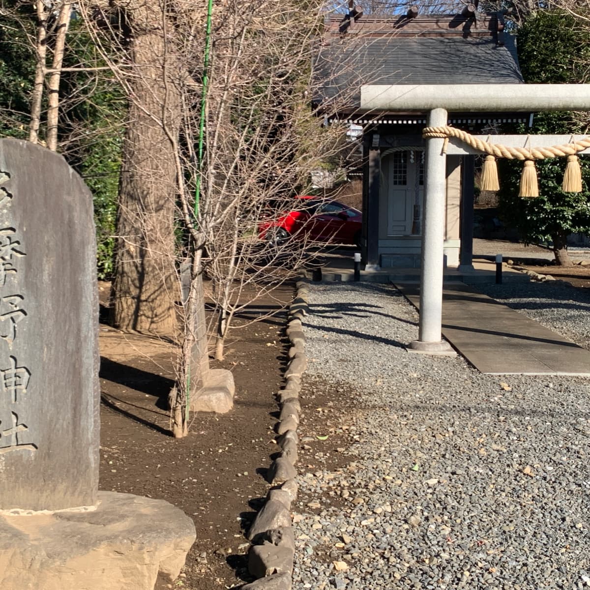 ベルミュージックスクール リトミック 秋津教室 画像 99