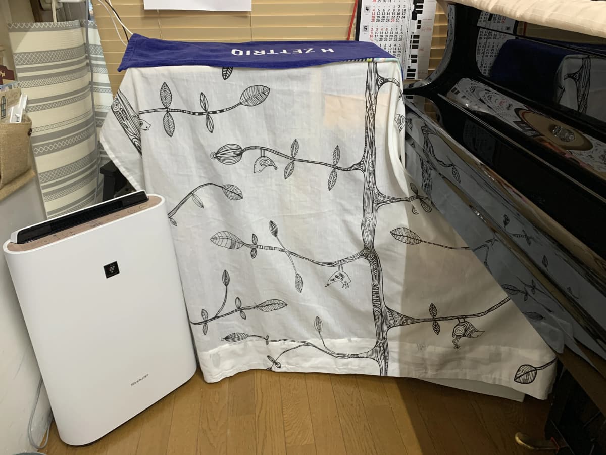 ベルミュージックスクール リトミック 秋津教室 画像 26