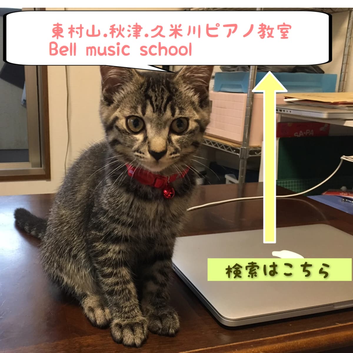 ベルミュージックスクール リトミック 秋津教室 画像 39