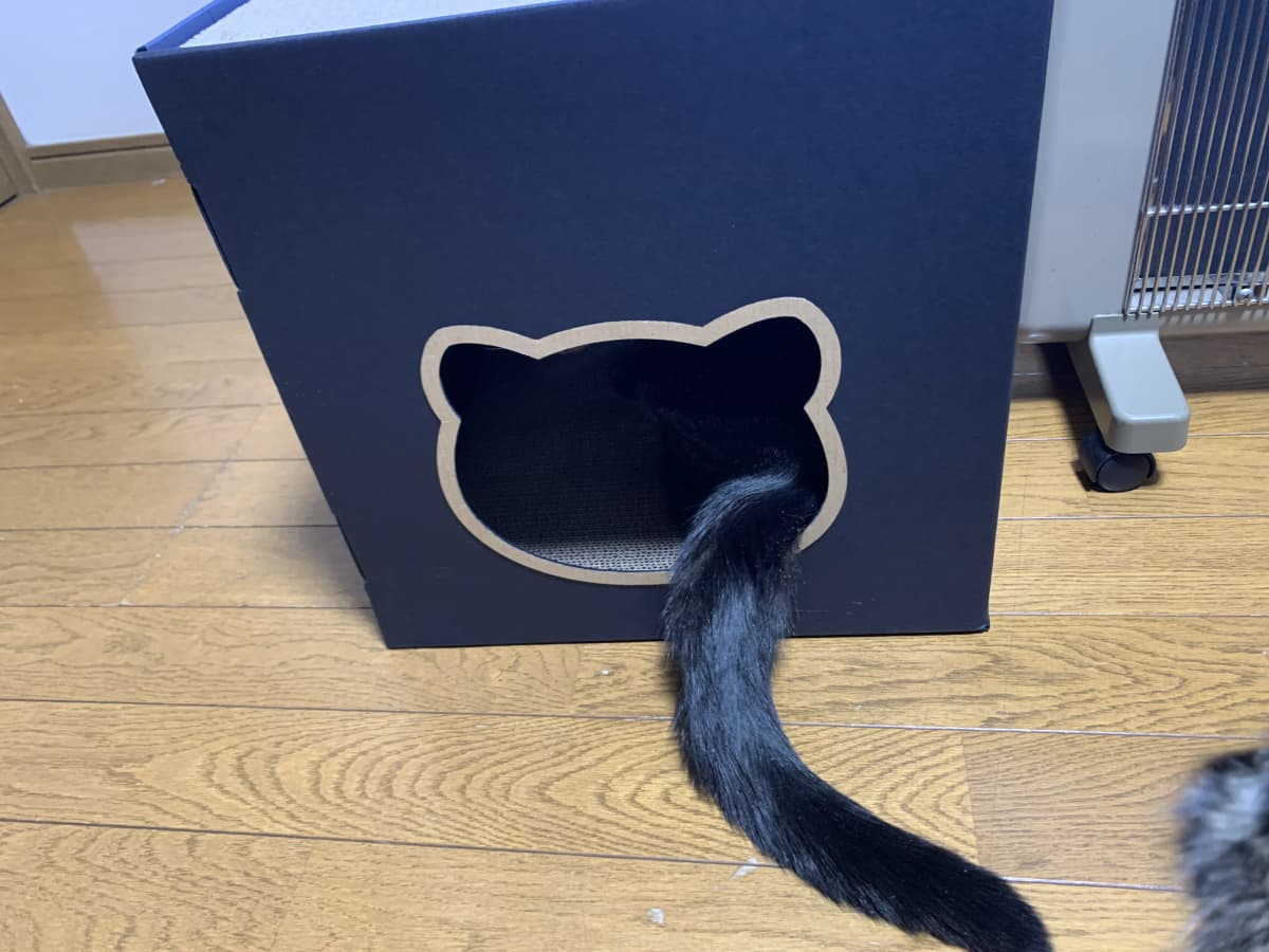 ベルミュージックスクール リトミック 秋津教室 画像 41