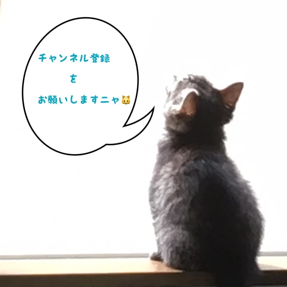 ベルミュージックスクール リトミック 秋津教室 画像 49