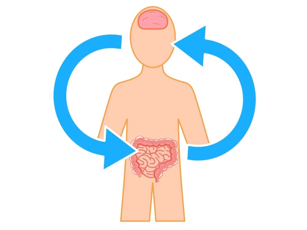 ベルミュージックスクール リトミック 秋津教室 画像 86