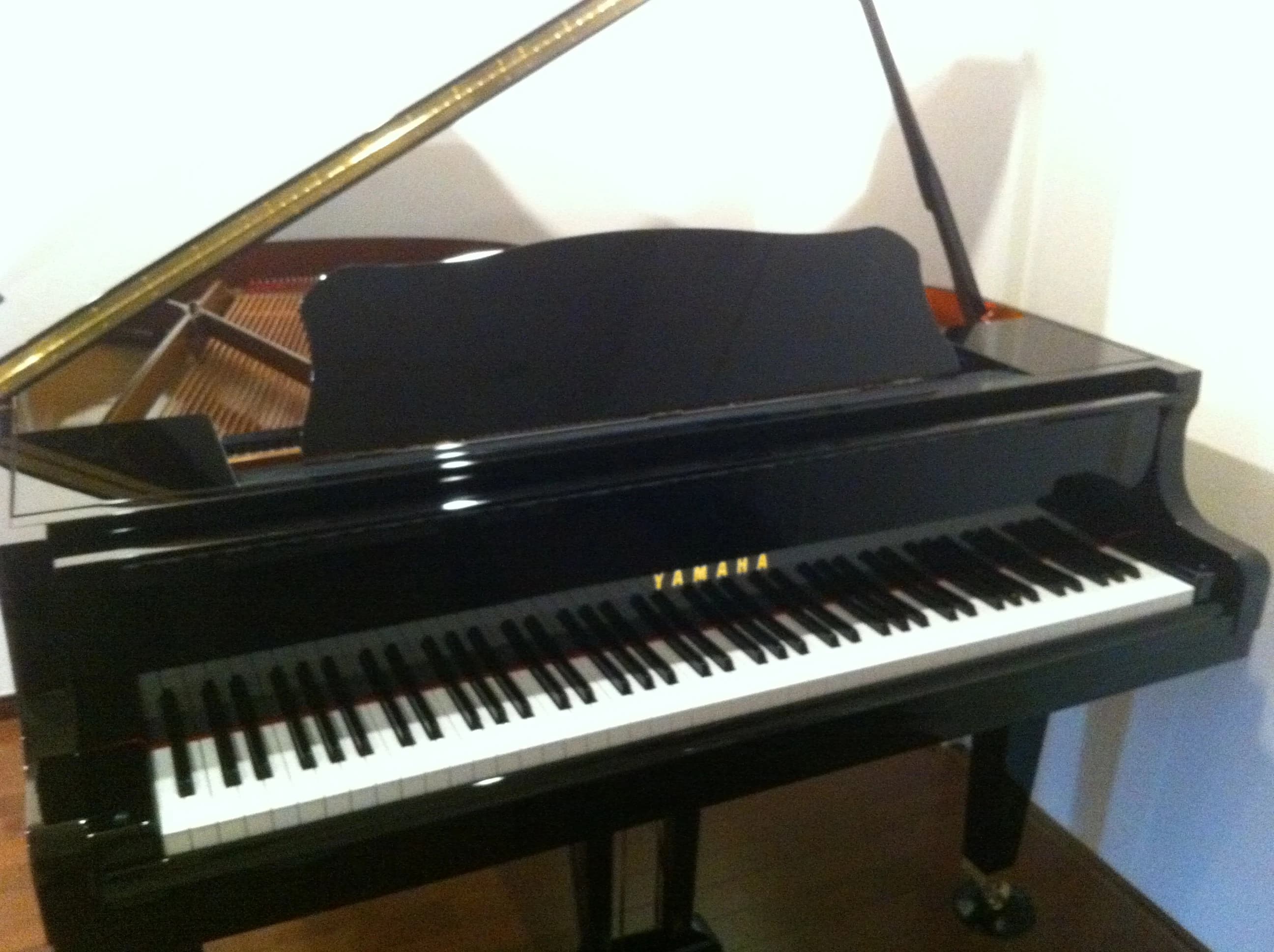 Studio K リトミック エコール西大井教室のメイン画像