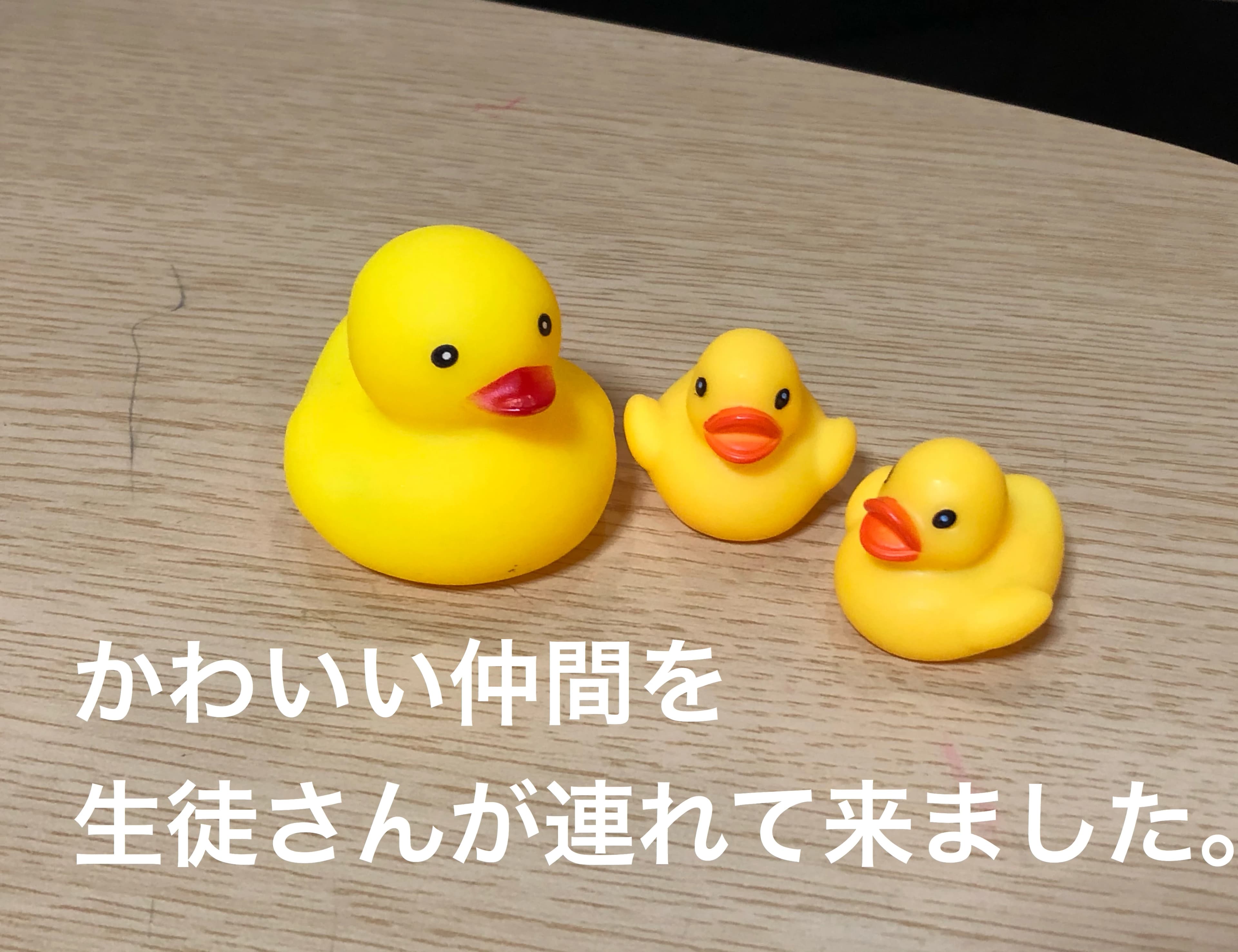 目黒ピアノ教室 リトミック 大杉教室のサムネイル画像 2