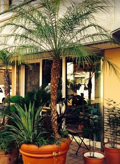 NAO音楽教室 リトミック 藤崎教室のサムネイル画像 3