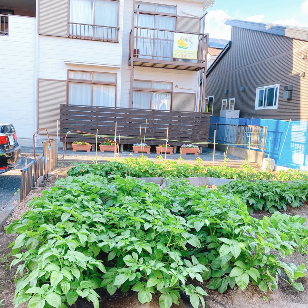 サムネイル画像 6