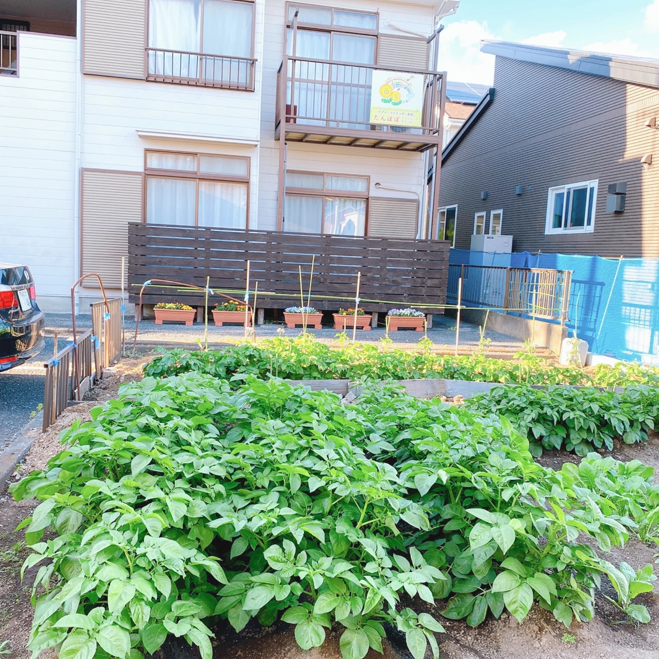 たんぽぽミュージックスクール リトミック 第一教室のサムネイル画像 5