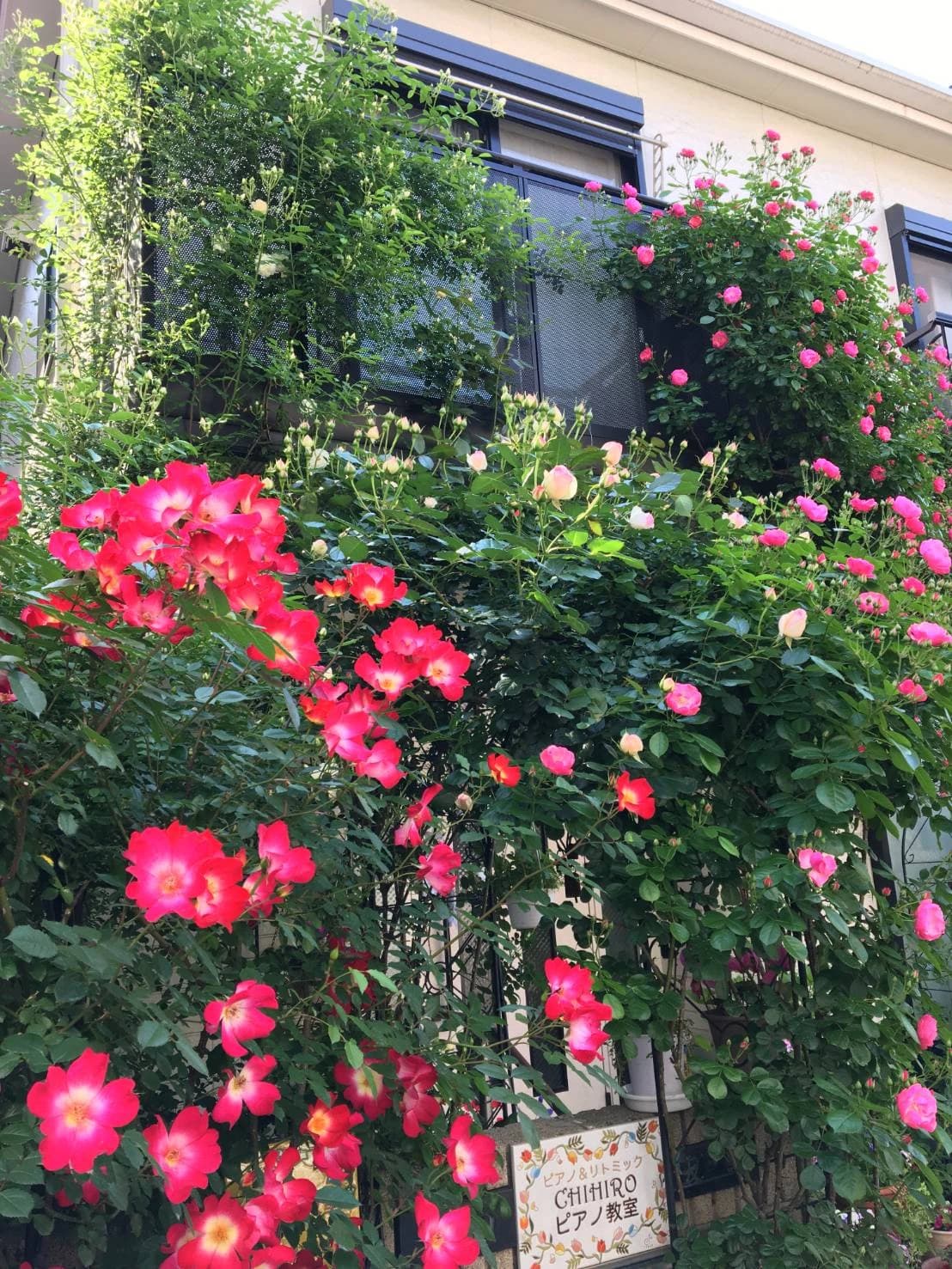 サムネイル画像 3