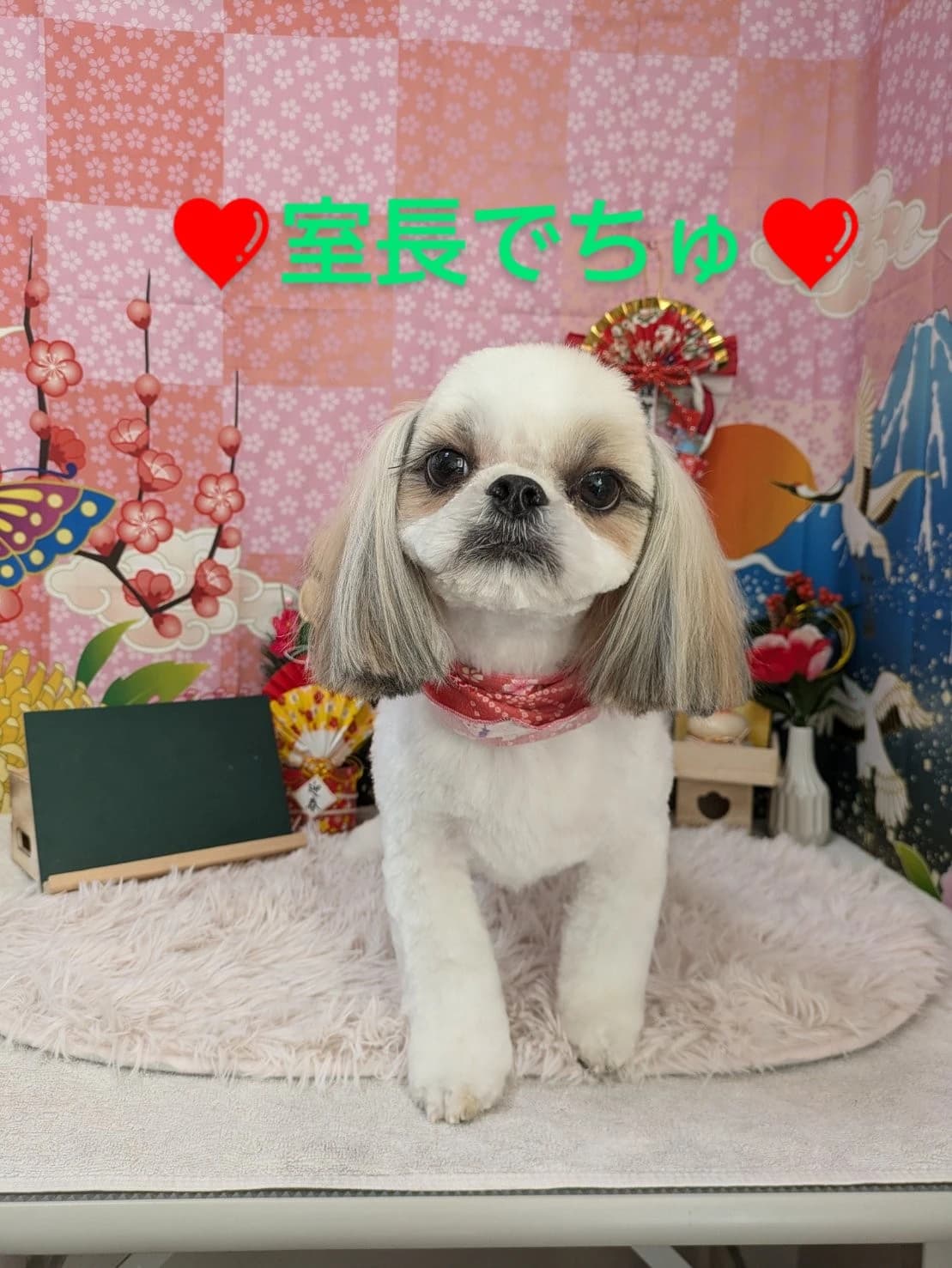 サムネイル画像 5