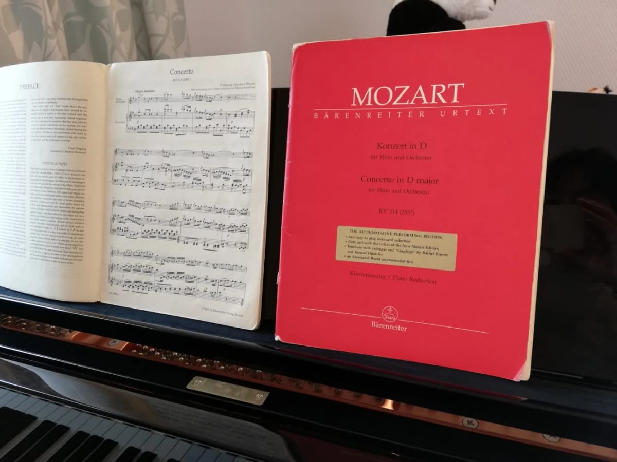 岩村あい音楽教室LiebKnospen リトミック 遊馬町教室のサムネイル画像 2