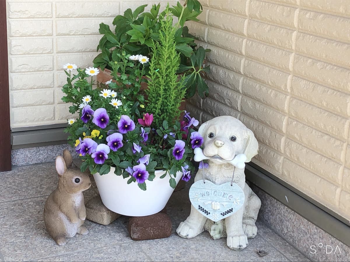 サムネイル画像 5