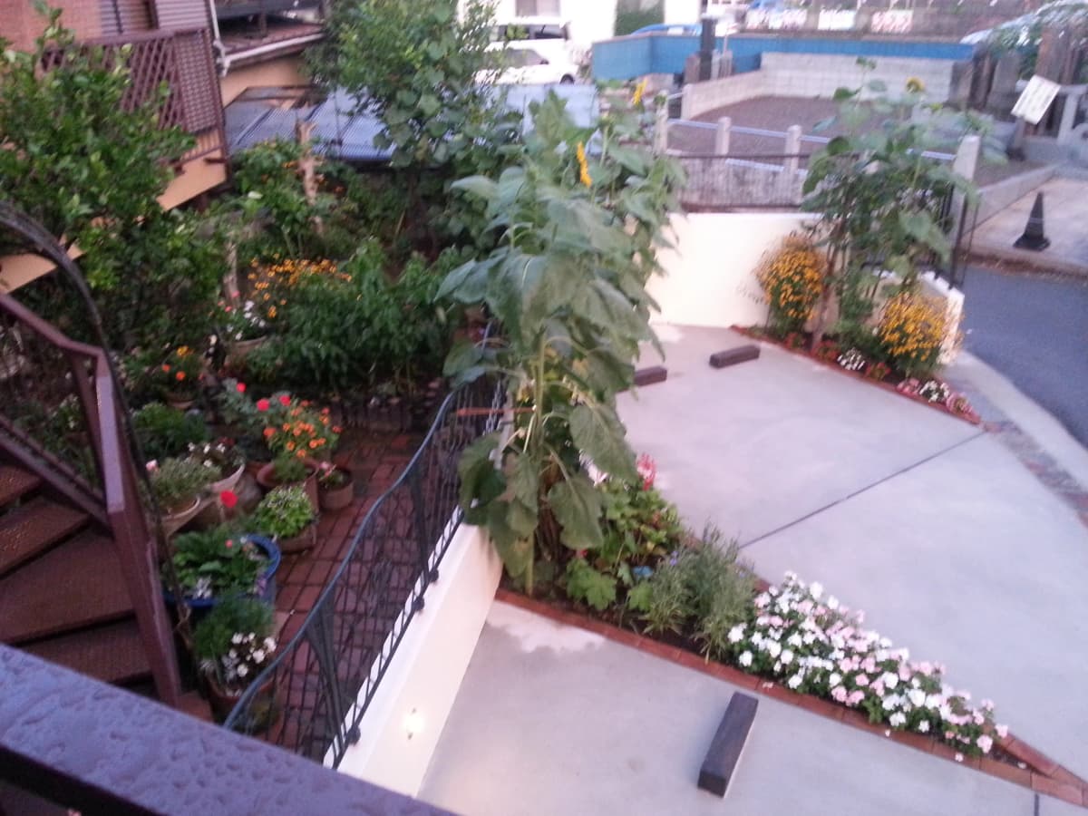 サムネイル画像 6