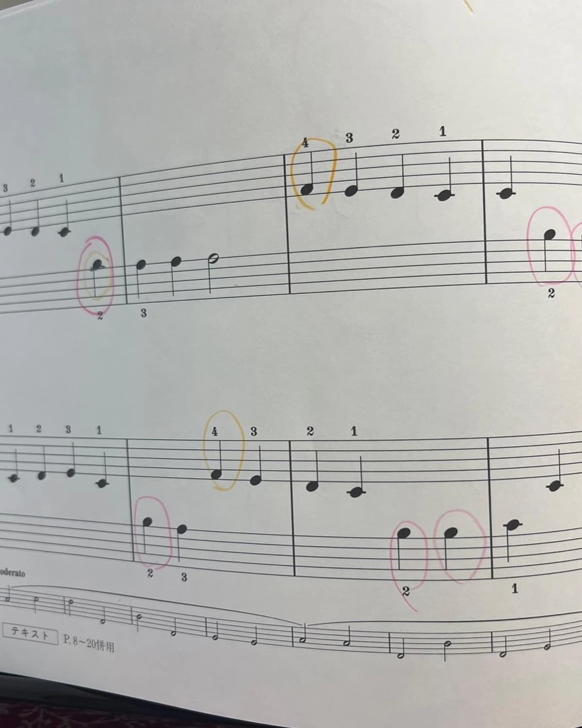 リリアーレ音楽教室 リトミック 東菅野教室 画像 50