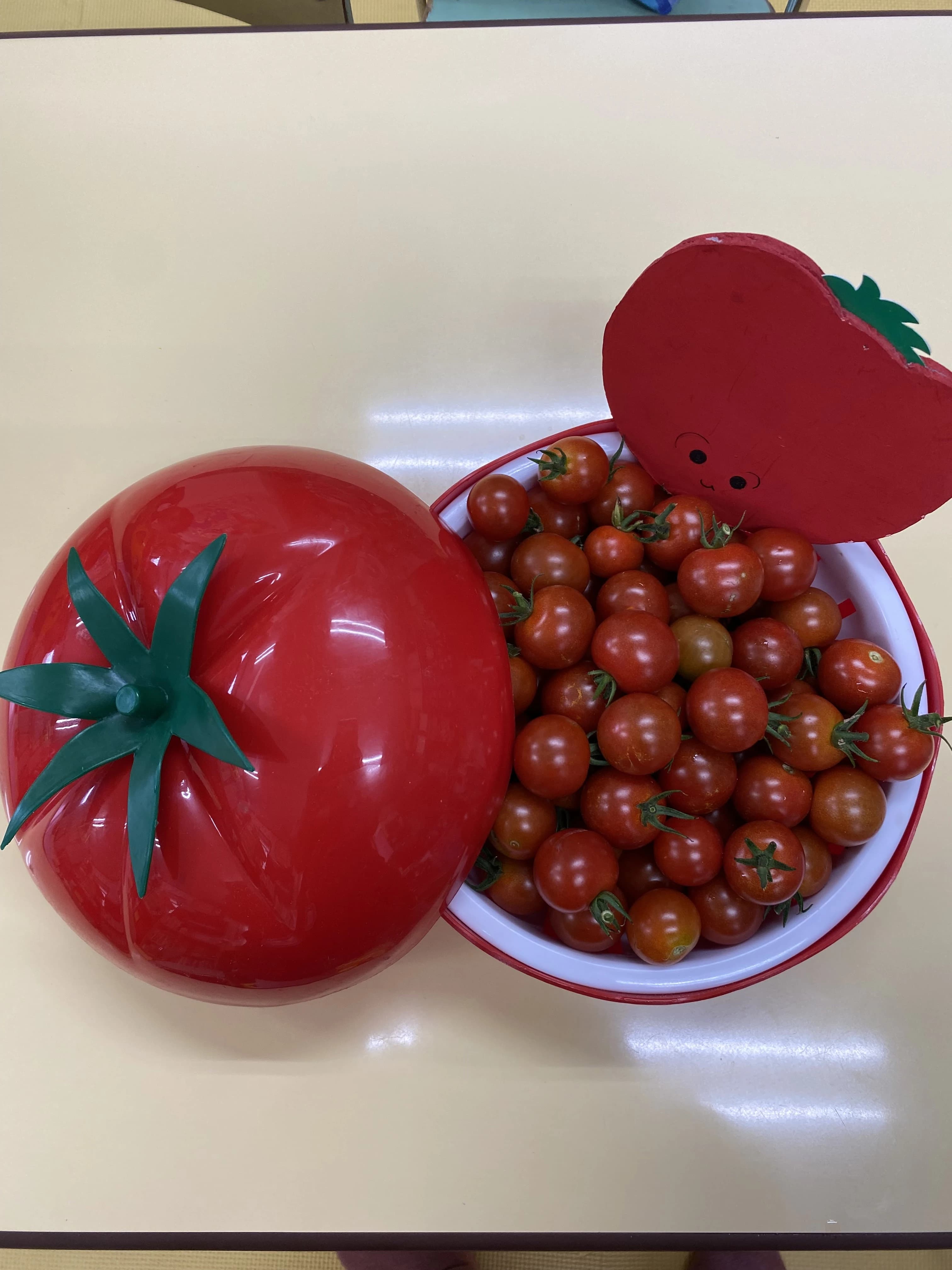 こども畑 プチトマト リトミック しいの木台教室 画像 42