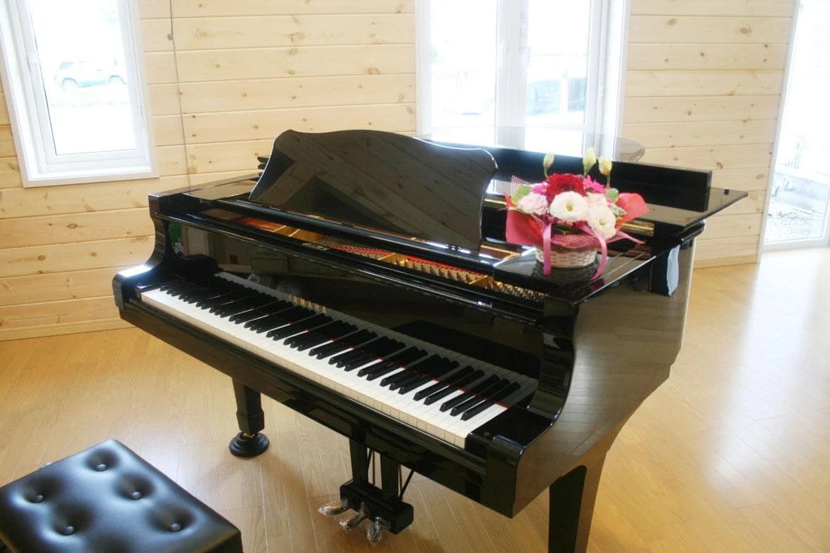 アーデン音楽館 リトミック みどりの教室 画像 18