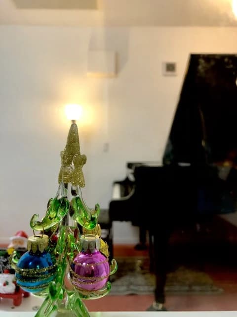 アーデン音楽館 リトミック みどりの教室 画像 28