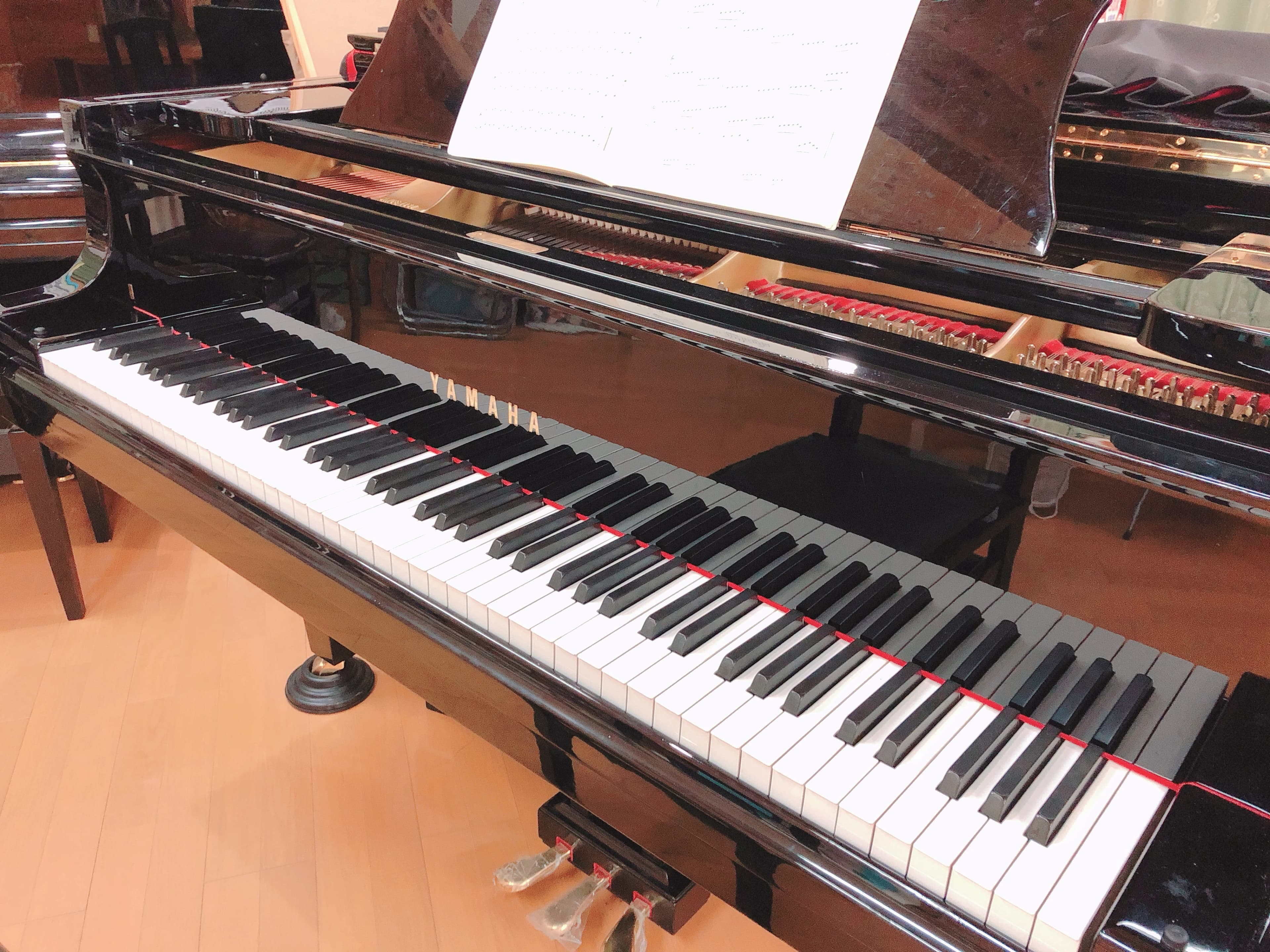 アーデン音楽館 リトミック みどりの教室 画像 31