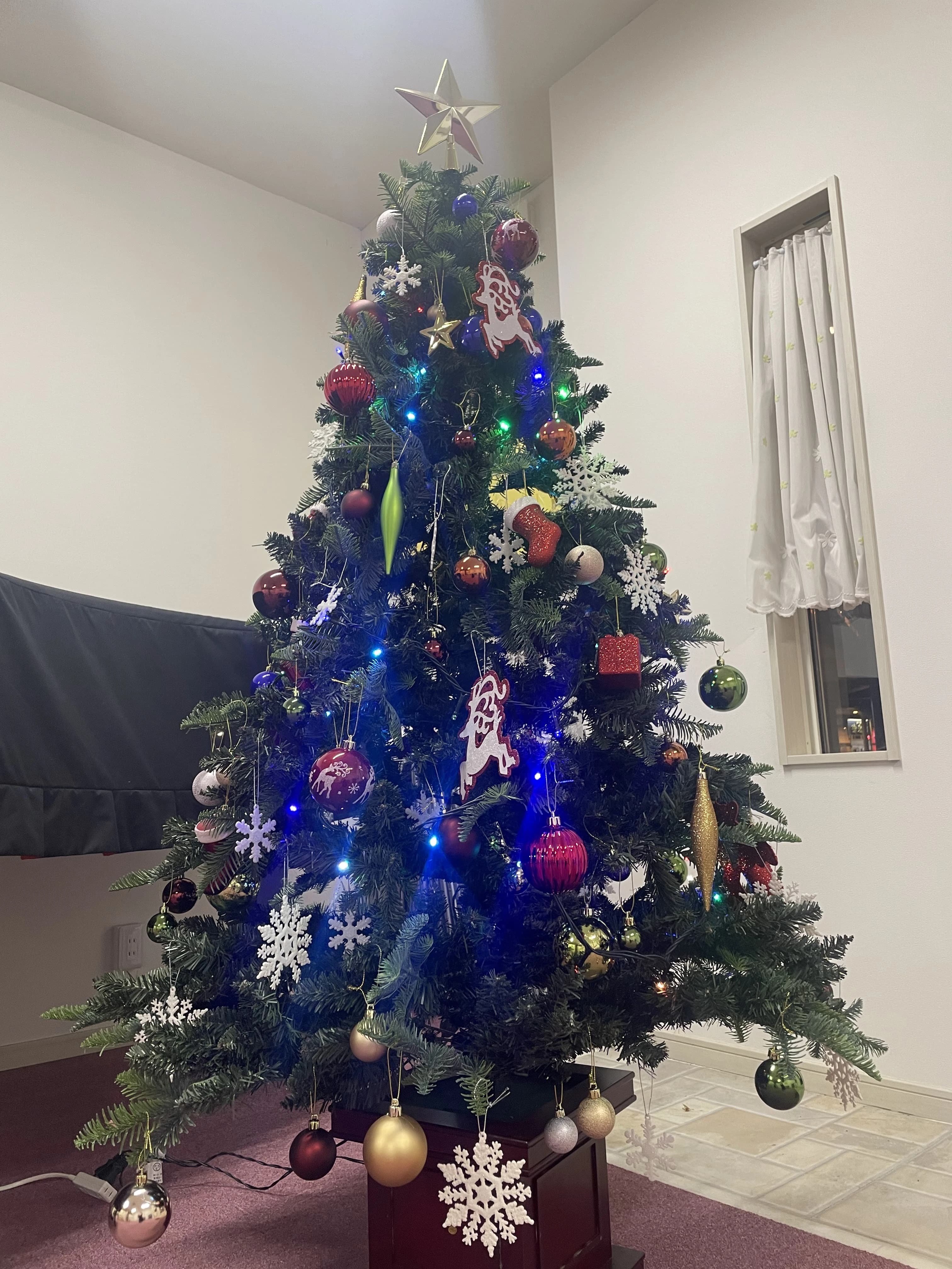 アーデン音楽館 リトミック みどりの教室のサムネイル画像 4