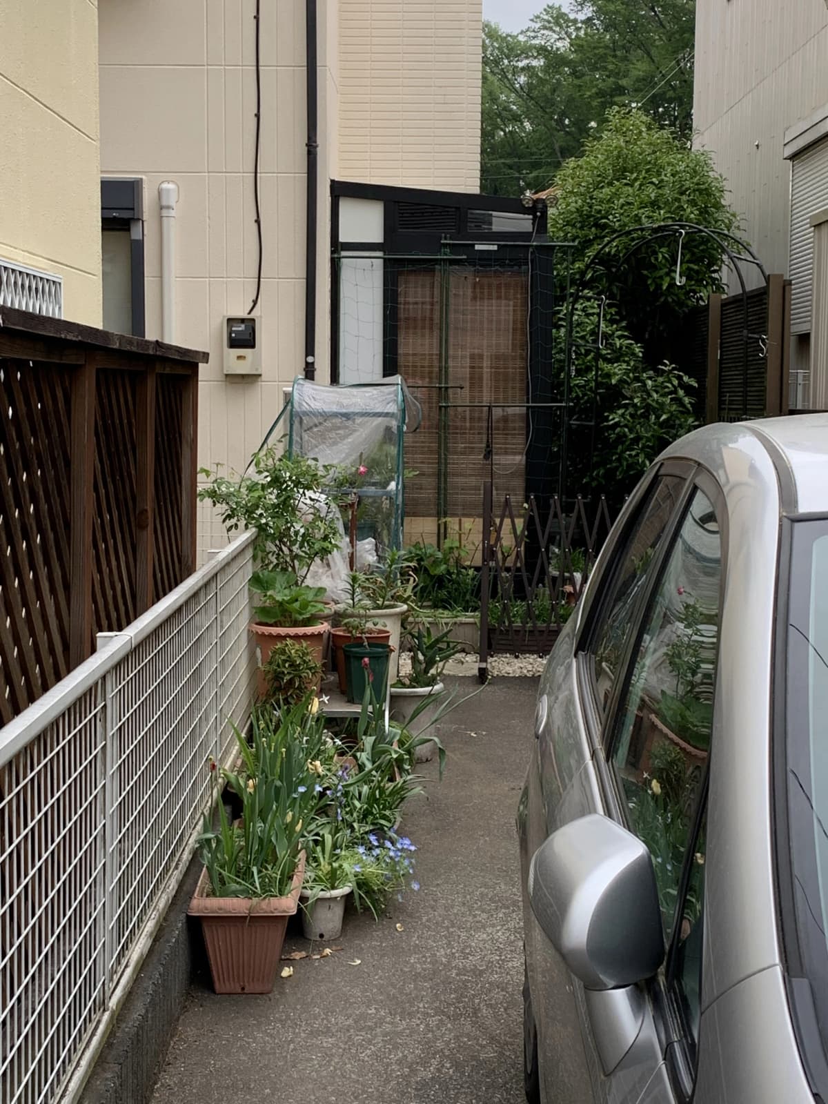 サムネイル画像 6