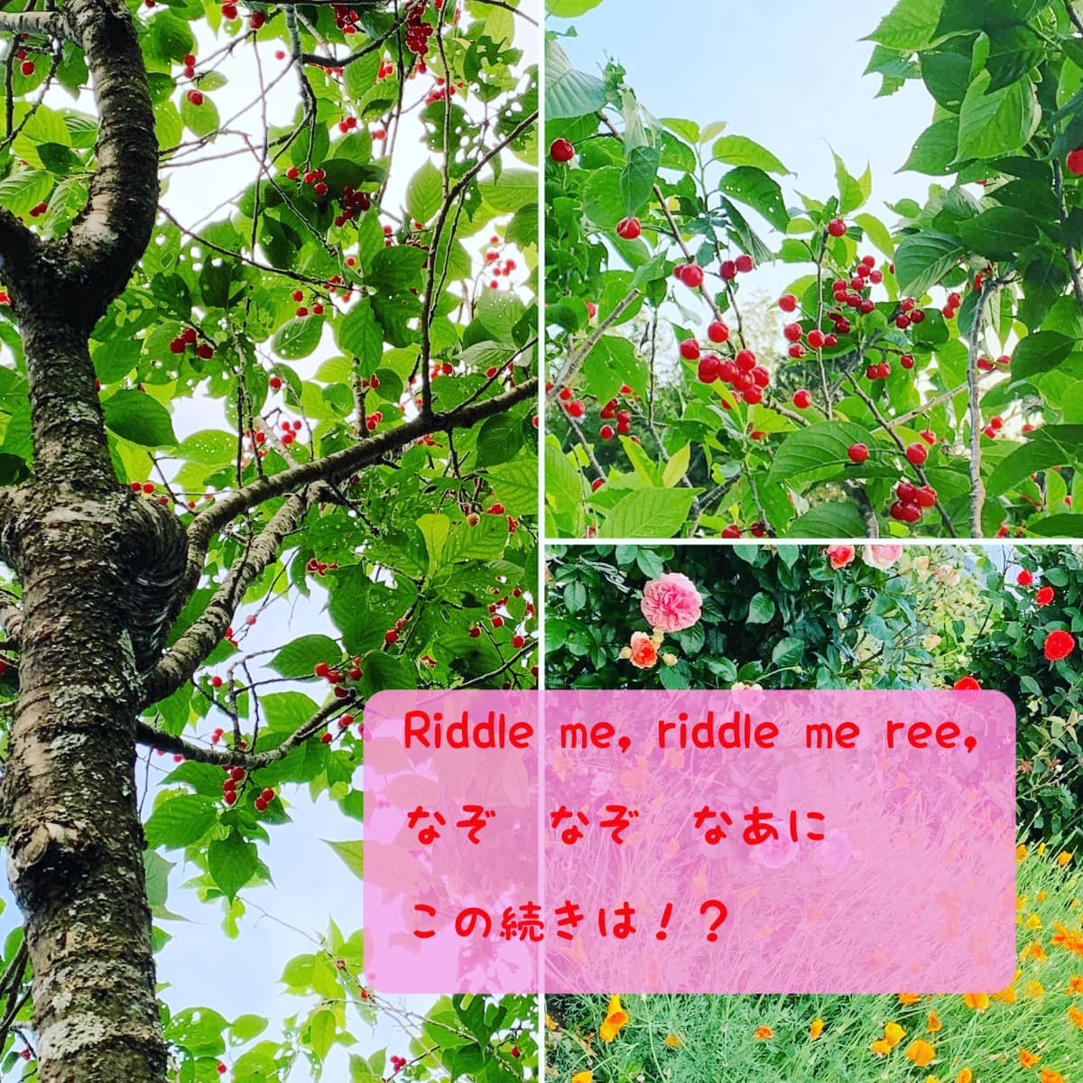 ラボ・パーティ東広島市西条中央教室のサムネイル画像 4