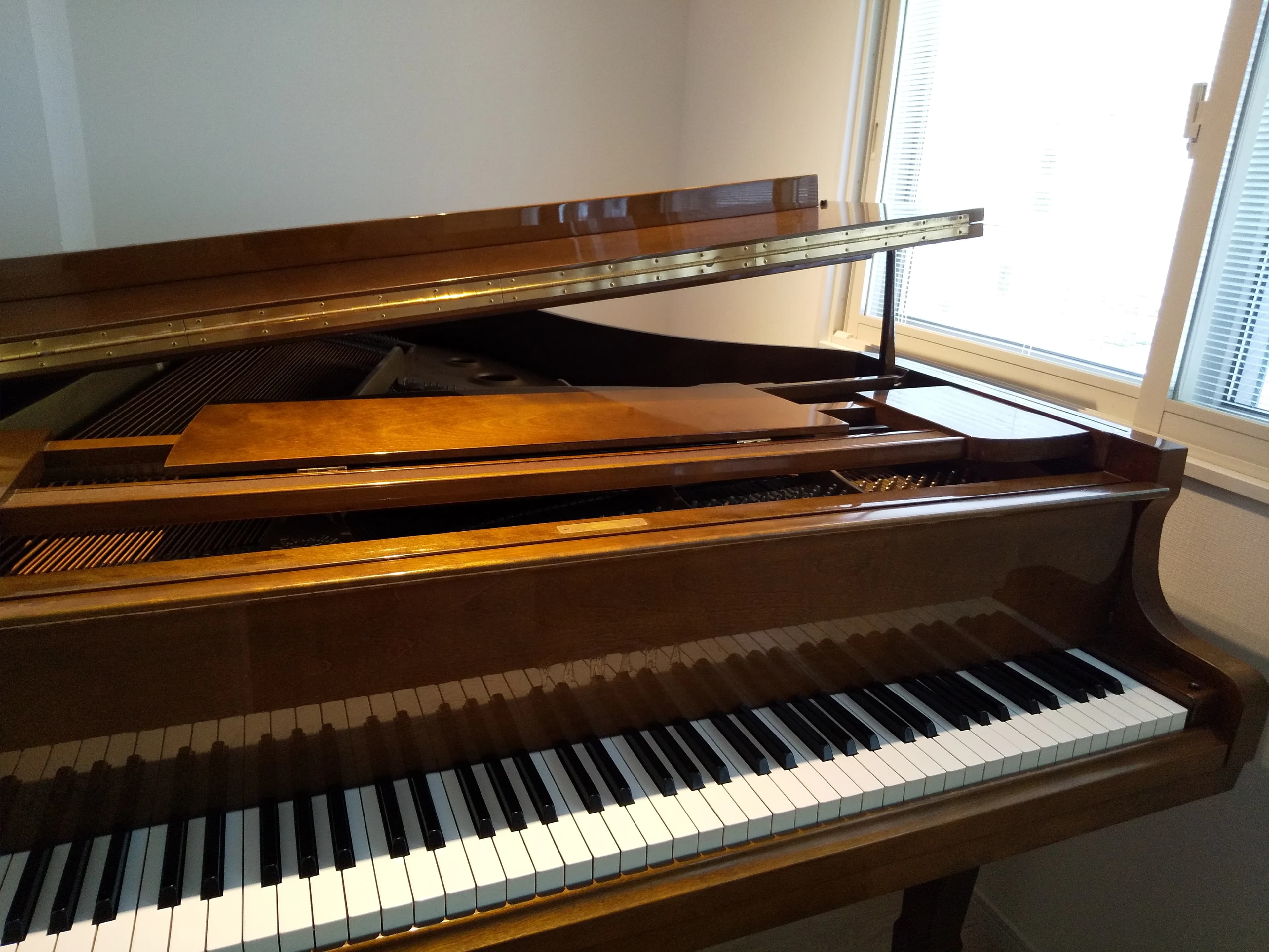 ピアノ教室luce(ルーチェ) リトミック 中村校 画像 8