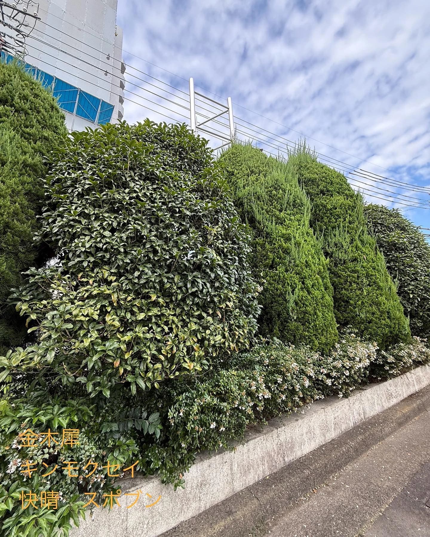 一宮市スポーツ文化センターリトミック 真清田教室 画像 27