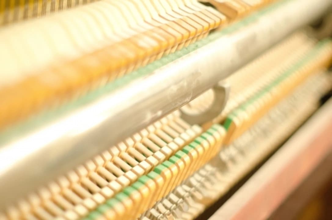 川北音楽教室 リトミック 覚王山通教室 画像 63