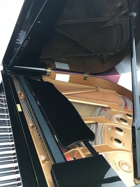 川北音楽教室 リトミック 覚王山通教室 画像 68