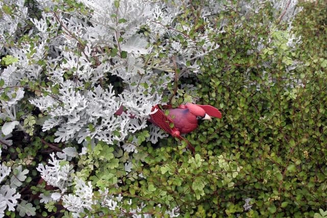 ポワンポワンスタジオ リトミック 日進教室 画像 18