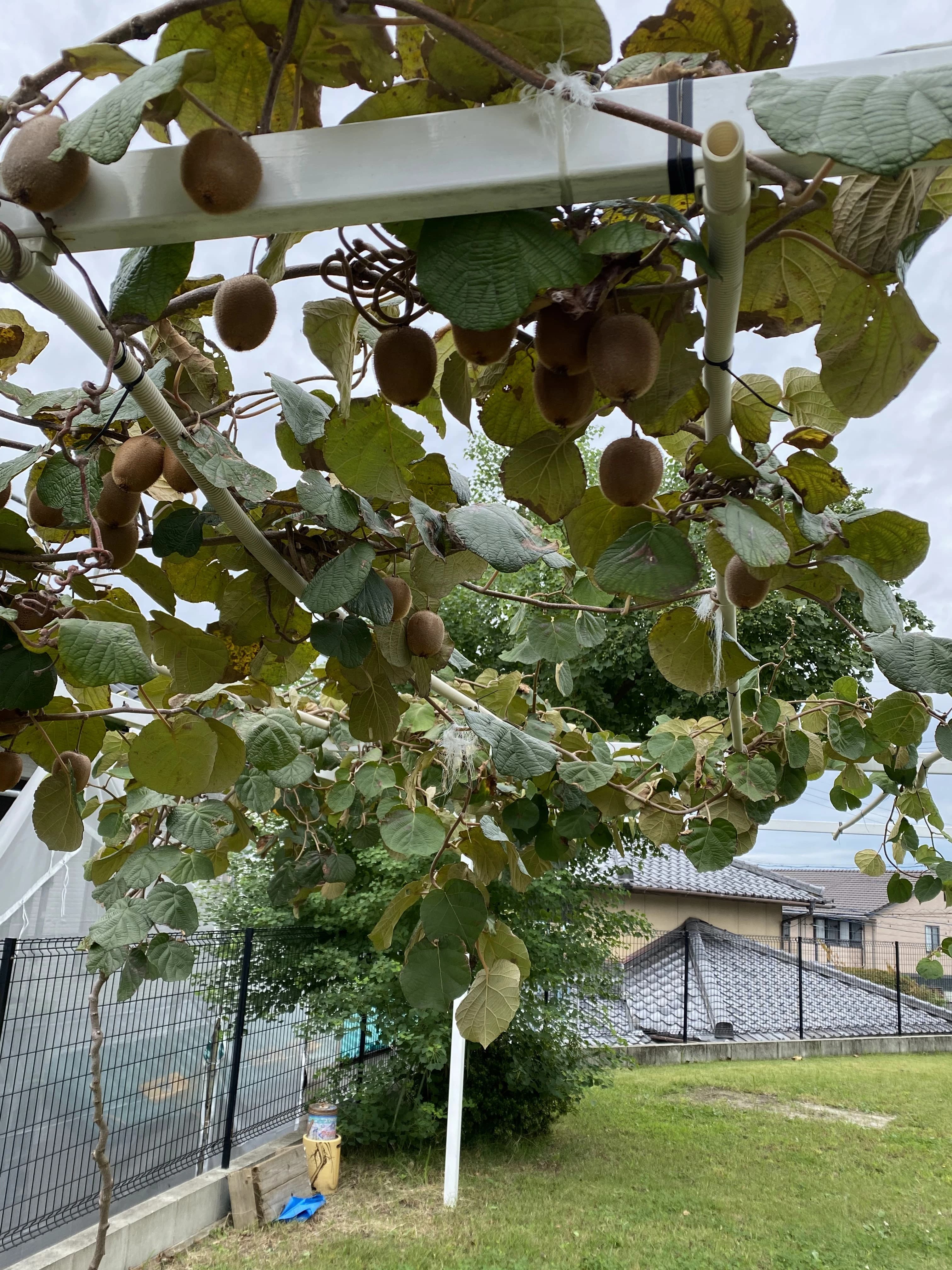 川本あつ子ピアノ教室 リトミック 仲田教室のサムネイル画像 5