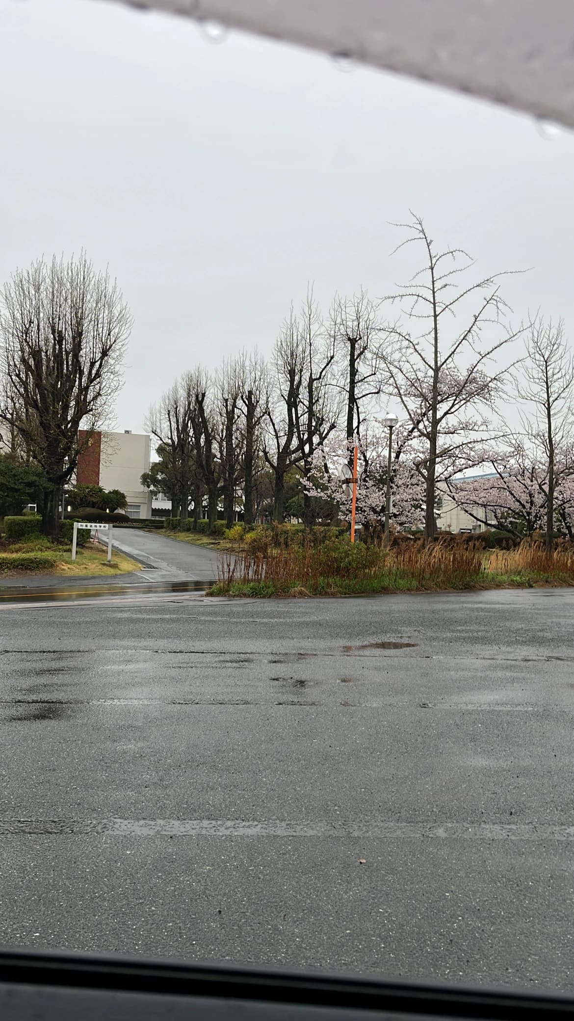 たまもりピアノリトミック教室 加納天神教室 画像 37