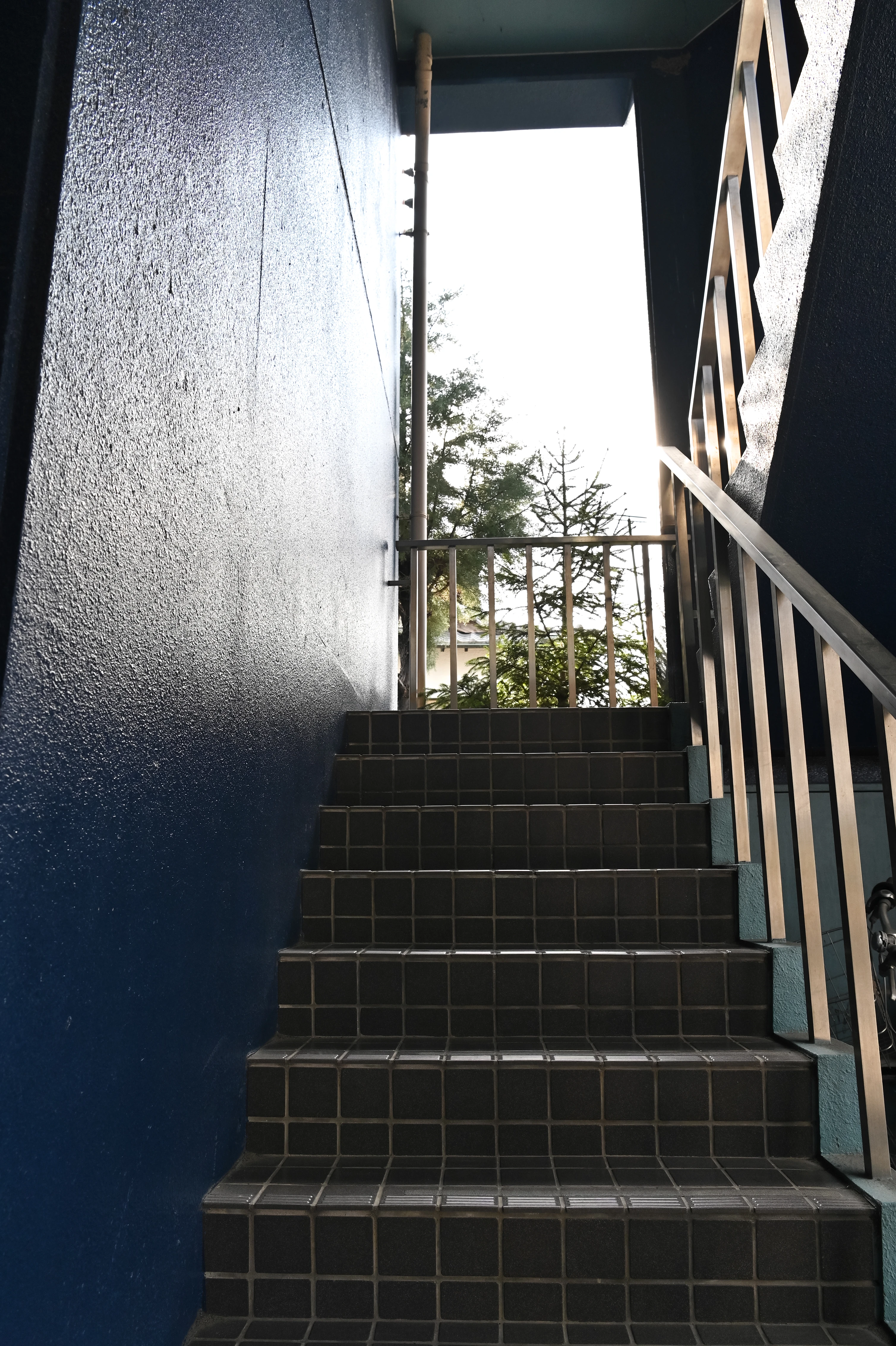 サムネイル画像 3