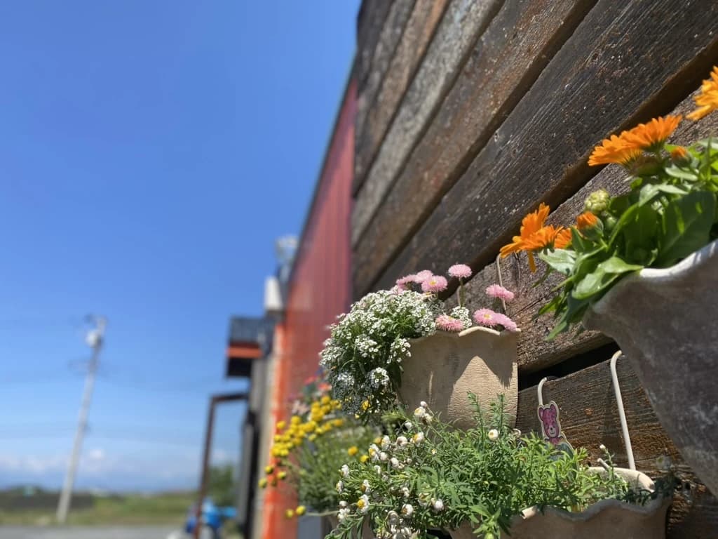 MUSIC LA FESTA リトミック 鳥谷教室 画像 20