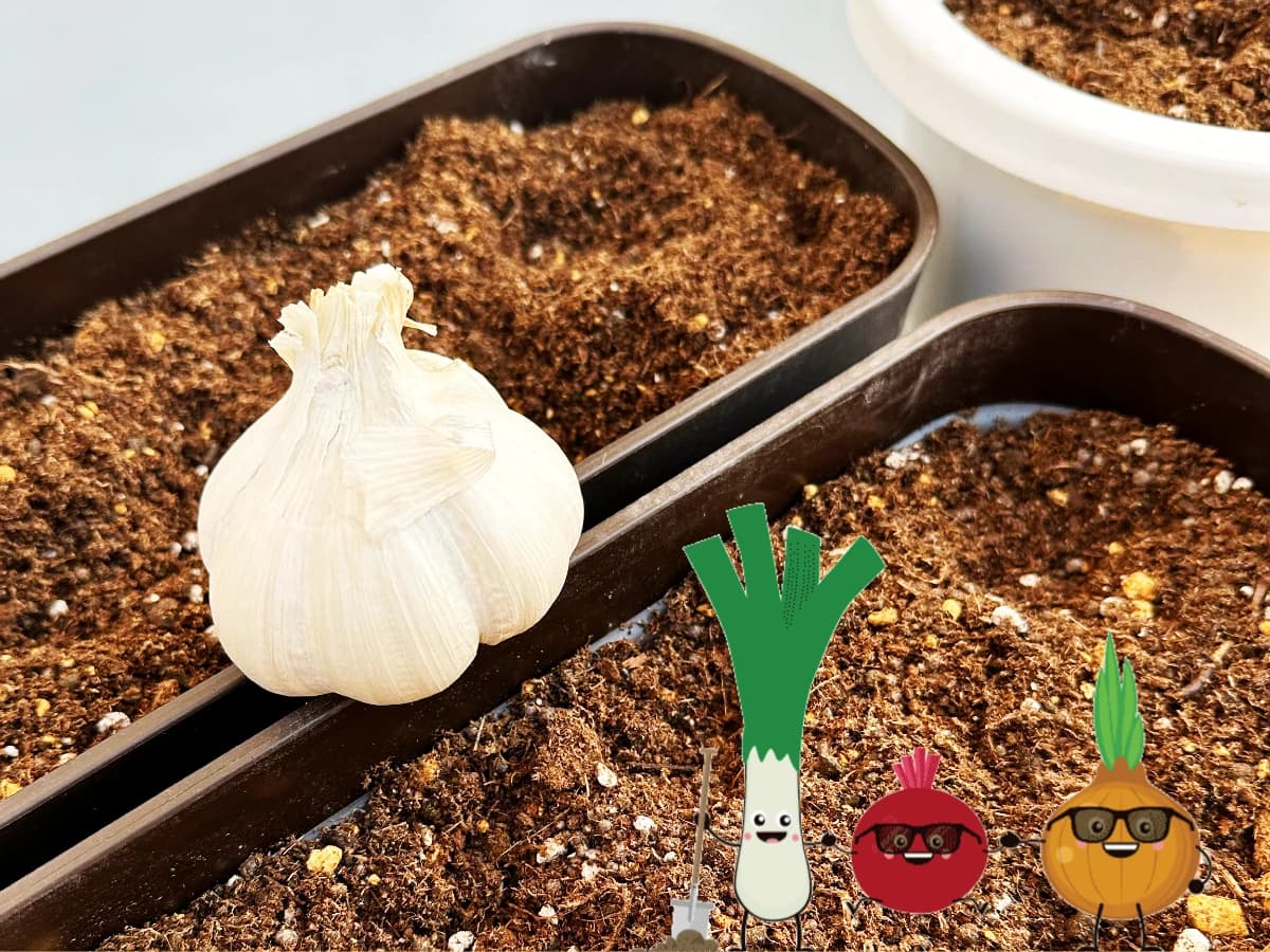 サムネイル画像 4