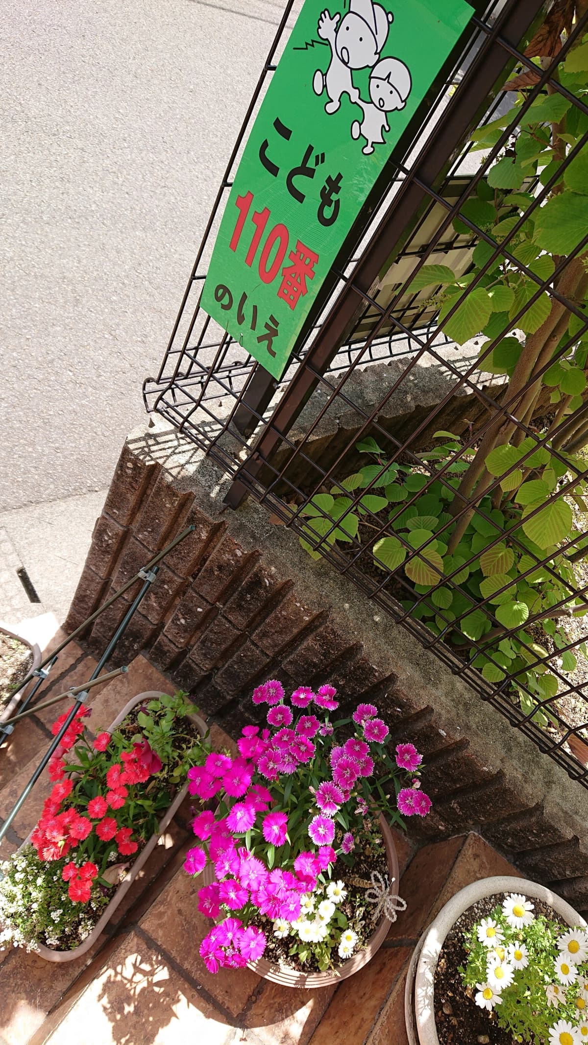 サムネイル画像 4