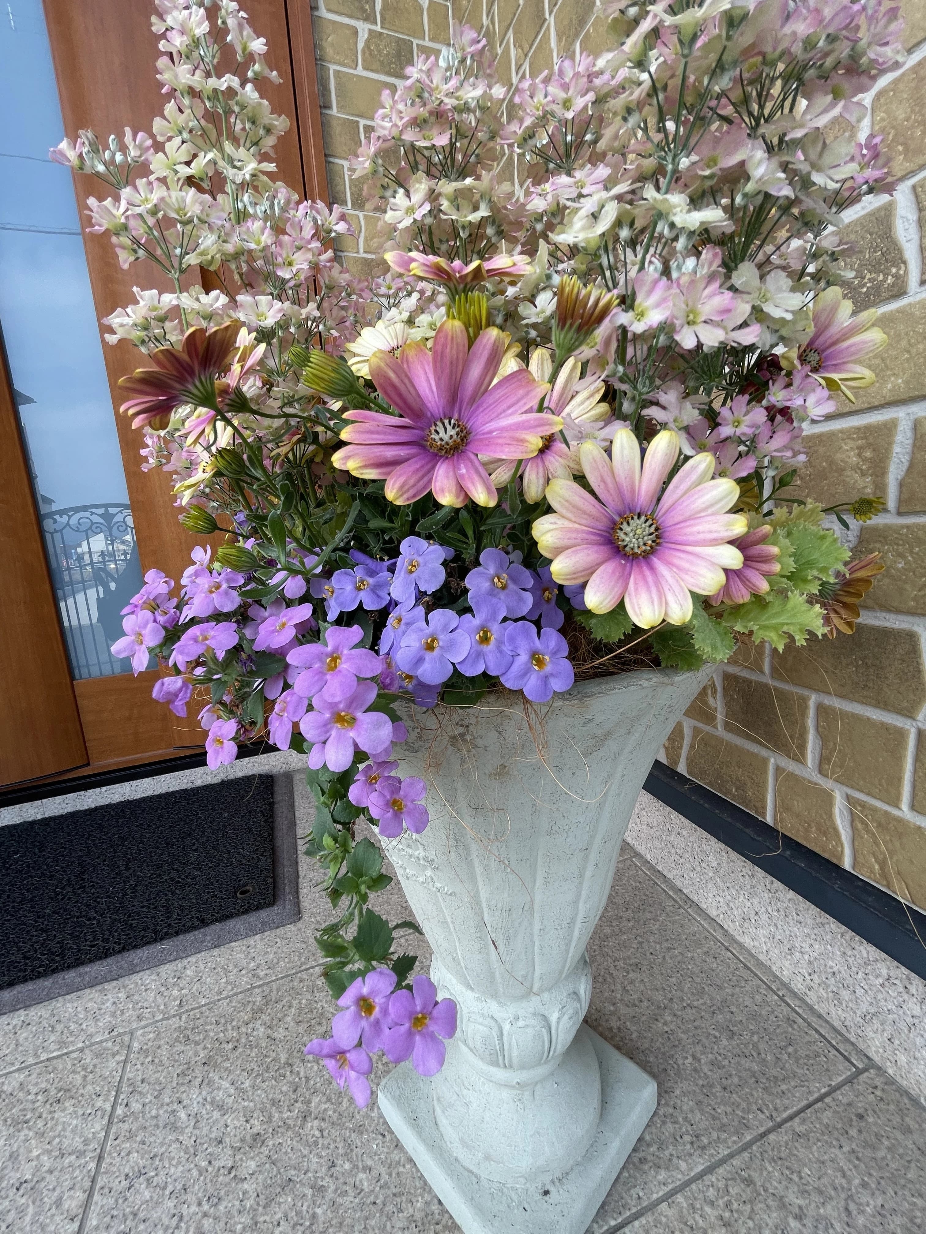 音のアトリエON リトミック 鞍手町教室のサムネイル画像 2