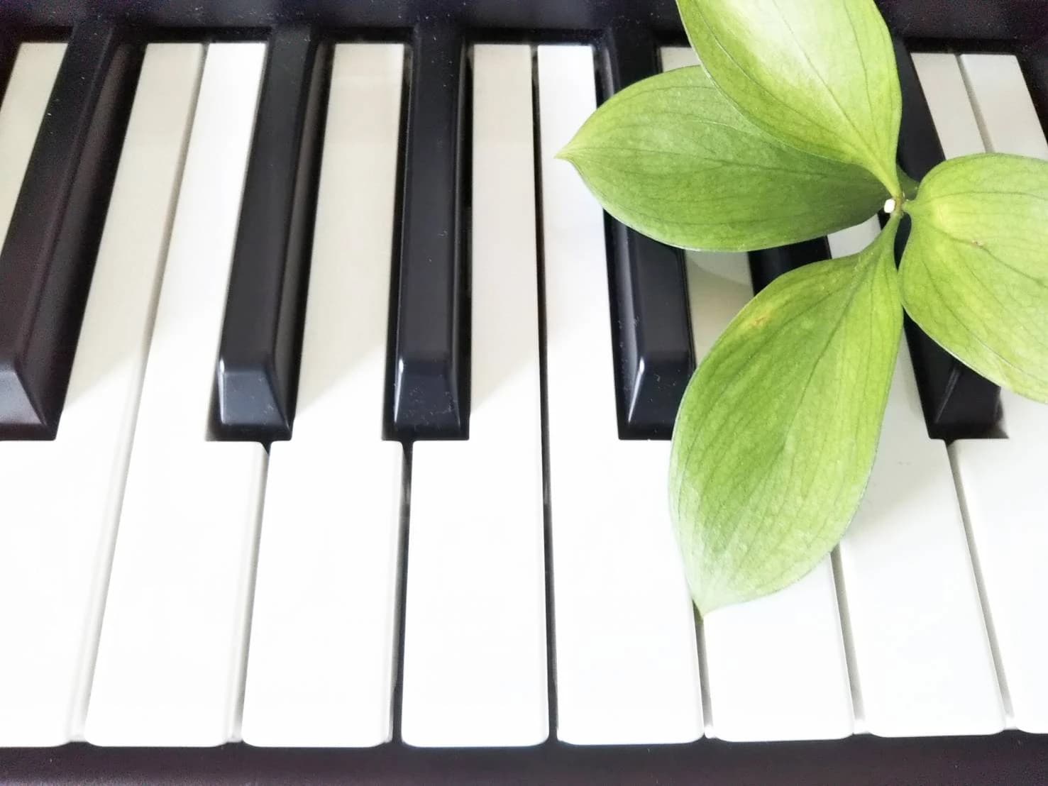 たけだピアノ教室 リトミック 花鶴丘教室のサムネイル画像 3