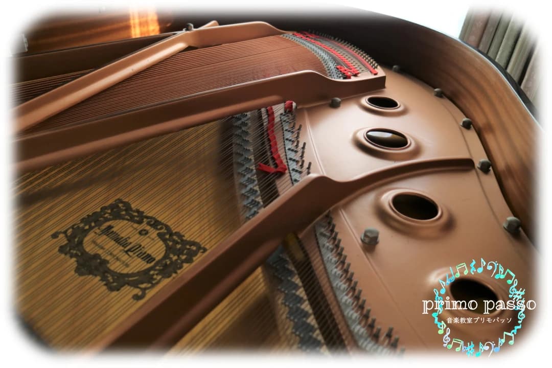 音楽教室primo passo リトミック 西教室のメイン画像