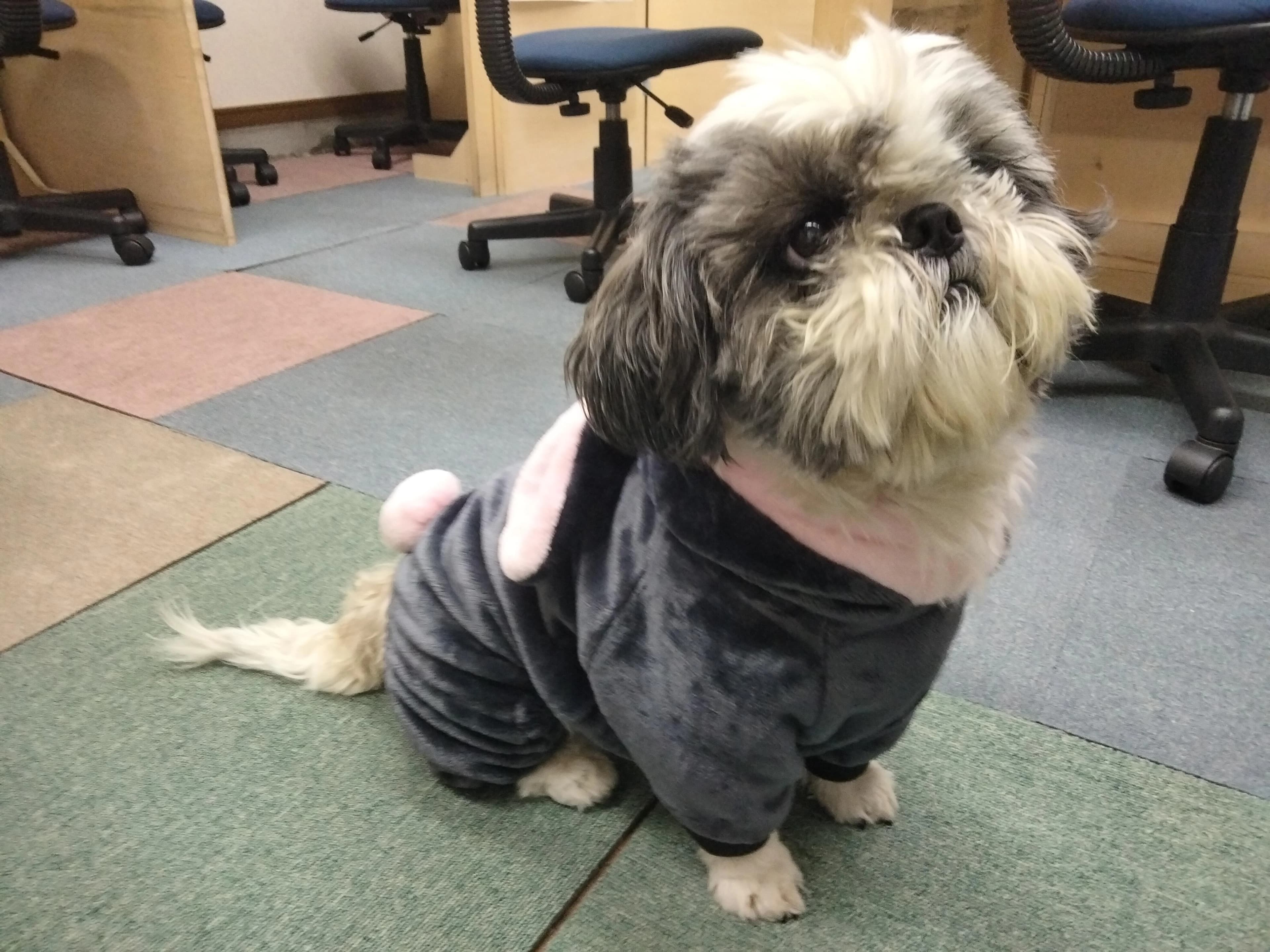 学習塾オーパス 長町鹿野教室のサムネイル画像 2