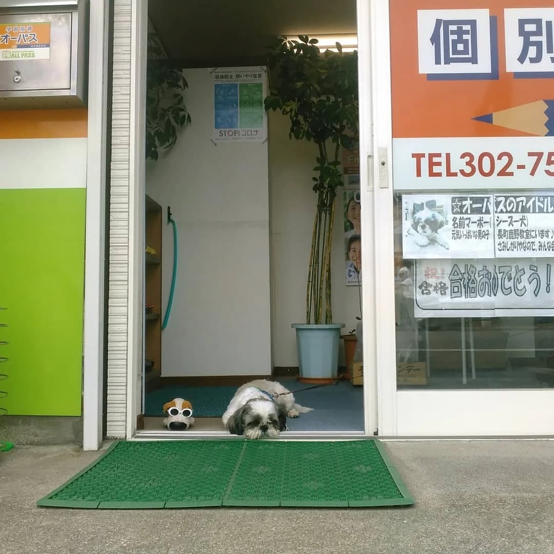 学習塾オーパス 長町鹿野教室のサムネイル画像 4